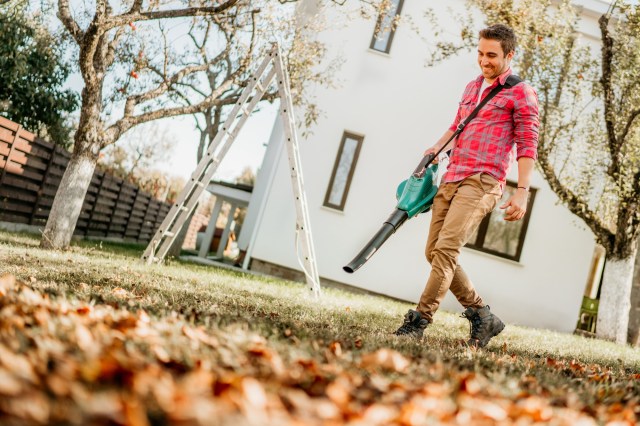 Eco-Friendly Yard Maintenance: Exploring the Benefits of Ego Leaf Blowers